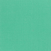 Devonstone Solids 118 SPEARMINT
